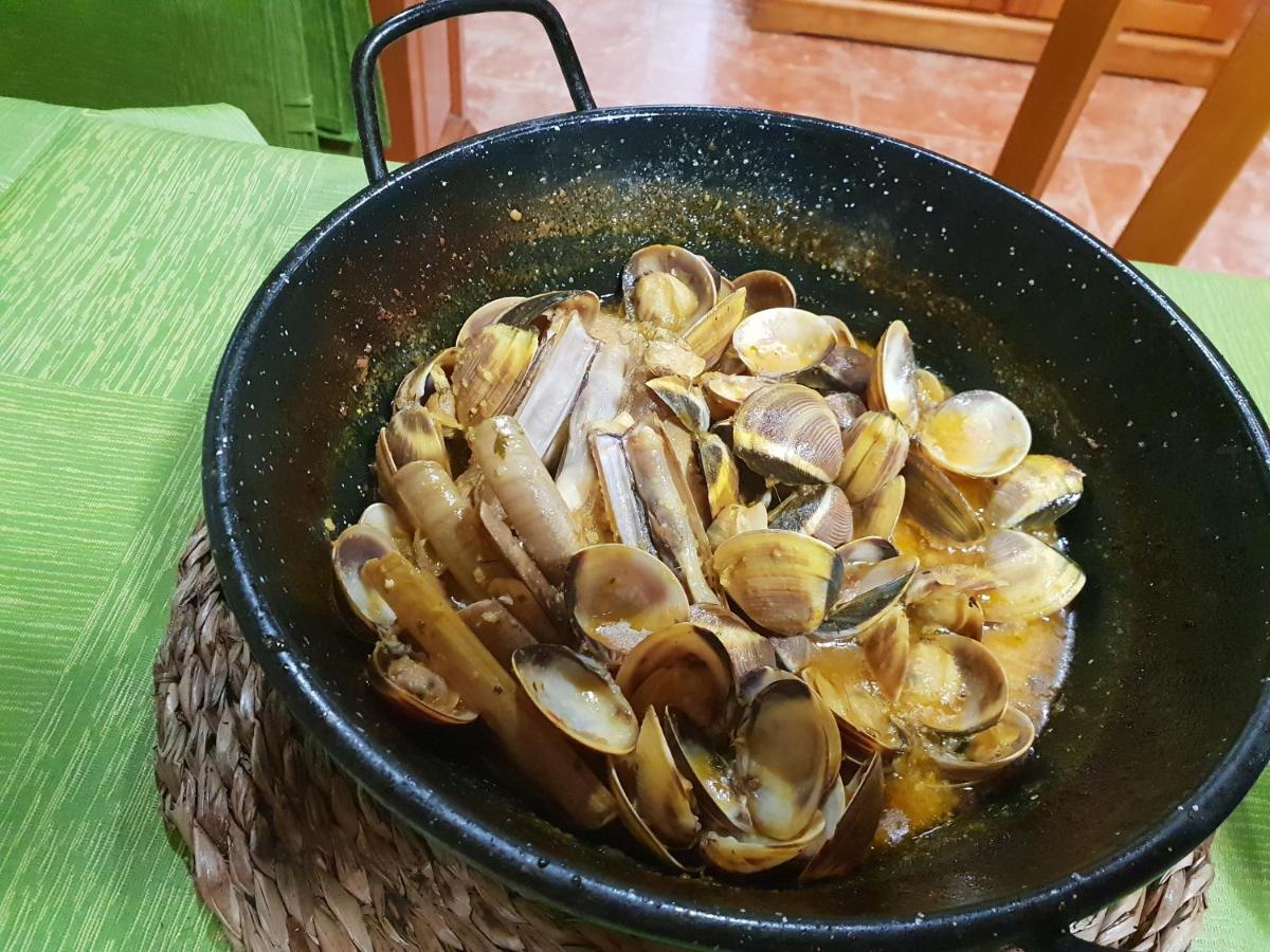Camarles Caseta De L'Avi מראה חיצוני תמונה